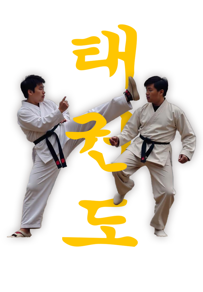 taek2